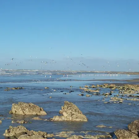 Campeggio Le Mont Joli Bois