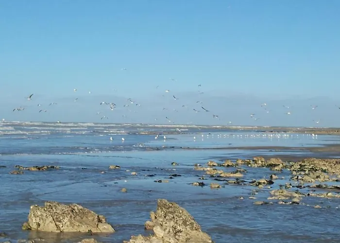 Camping Le Mont Joli Bois